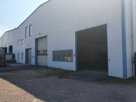 Lager und Produktionsfläche in Dresden