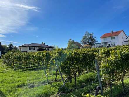 Reizvolles Baugrundstück in schöner Halbhöhenlage von Maikammer