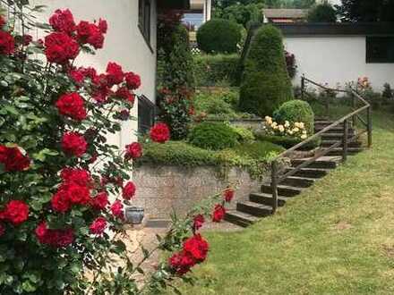 Geschmackvolle 2-Raum-EG-Wohnung mit Terrasse in Calw