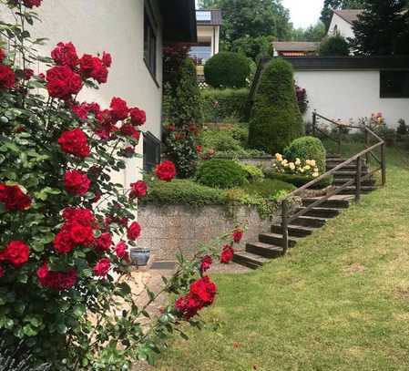 Geschmackvolle 2-Raum-EG-Wohnung mit Terrasse in Calw