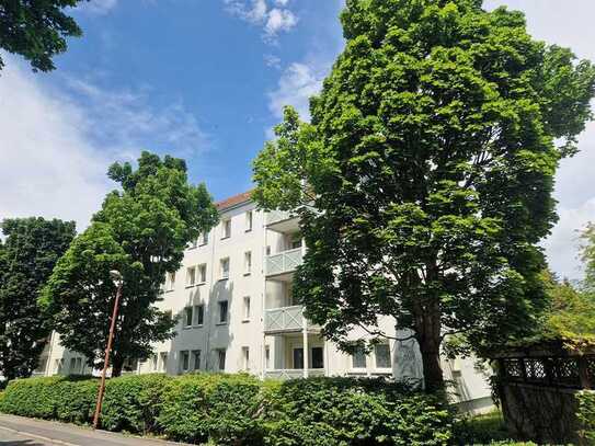 Kleine gemütliche 2-Raumwohnung mit Balkon ab sofort zu vermieten!