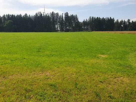 Wiese in der Gemarkung Denklingen