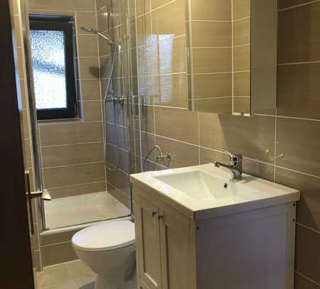 Ruhiges 1-Zimmer-Apartment in Neckargemünd - frisch renoviert und möbliert