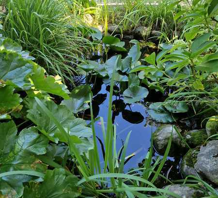 Herrliche Wohnqualität eingebettet in ganz wunderbarem Garten