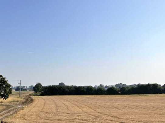 Großzügiges Einfamilienhaus nebst großen Grundstück mit Scheune