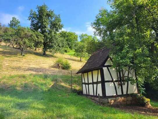 Landwirtschaftsfläche mit Gartenhütten