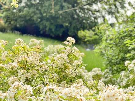 Filetgrundstück alter Moniberg sucht Gartenliebhaber als Bauherren