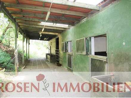Pferdestall mit Paddock in Siedelsbrunn