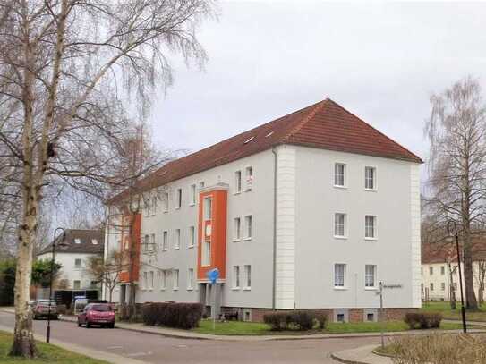 Schöne 3-Raumwohnung im Erdgeschoss in Braunsbedra