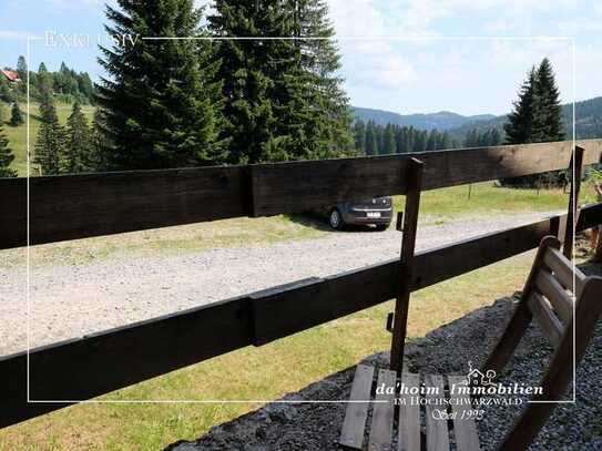 LiftGlück – 4-Zimmer Ferienwohnung in Feldberg-Ort