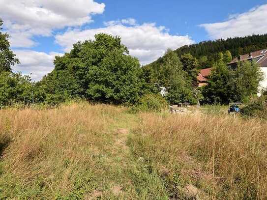 Weitläufiges Wiesengrundstück im Luftkurort Wolfshagen im Harz!