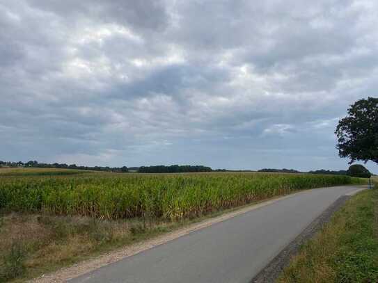 Ackerfläche bzw. Maisfeld bei Lockwisch