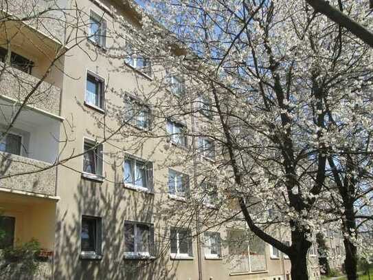 3 Raumwohnung mit Balkon