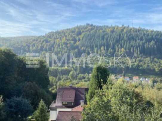 ** Toplage - unverbaubare Aussicht in Neckargemünd **