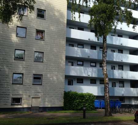 Delmenhorst// Schöne 3 ZKB Wohnung (105) zu vermieten