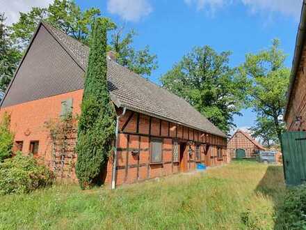 Vielseitiger Resthof * Wohnung + Tenne + FeWo + Nebengebäude