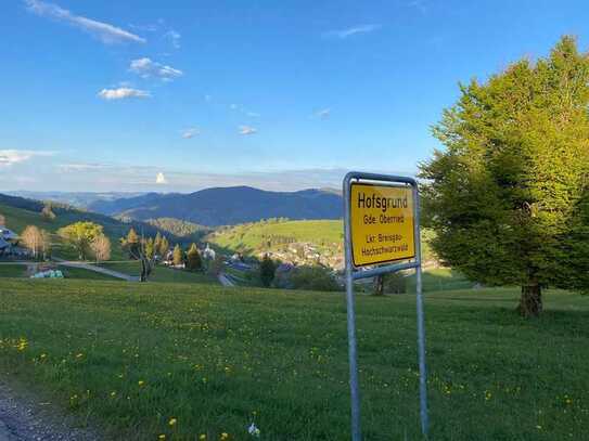 Stilvolle, möblierte 2-Raum-Wohnung mit EBK in Oberried