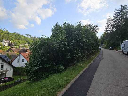 schöner Bauplatz in Nagold-Gündringen, sofort bebaubar - aber ohne Bauzwang