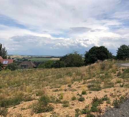 Schönes Baugrundstück mit Weitblick in Kirchheimbolanden