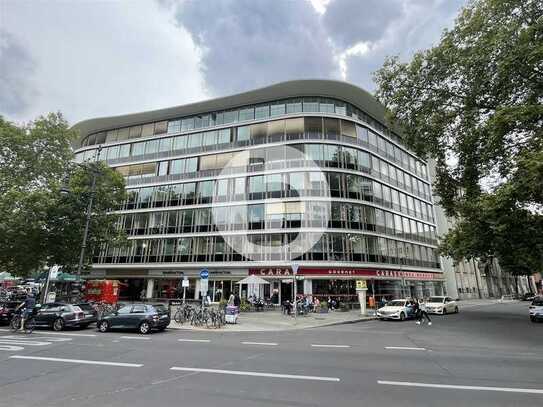 Lichtdurchflutete Bürofläche im Haus Hardenberg