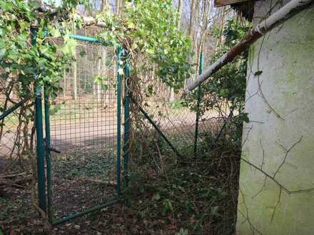 Baugenehmigung am Volksdorfer Wald - Ihr neues Zuhause wartet !