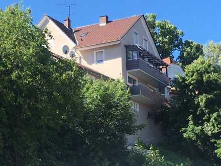 Top Hegaublick - Mehrfamilienhaus plus genehmigte Bauvoranfrage für zusätzlichen Neubau