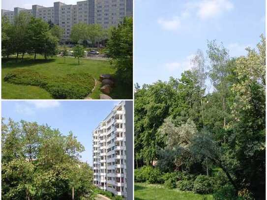 Familienfreundliche 3-Zimmerwohnung mit Balkon im 1.OG!