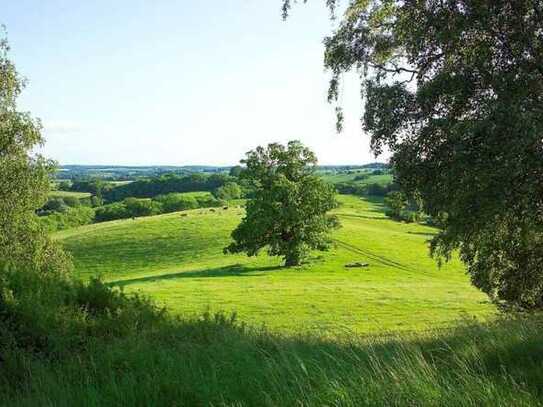 provisionsfreies Baugrundstück in der mecklenburgischen Schweiz zwischen Ostsee und Seenplatte