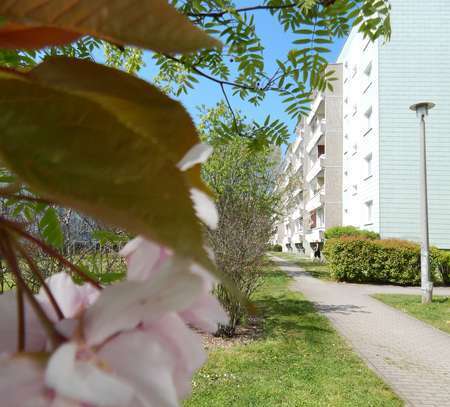 Top renovierte 3-Raum-Wohnung