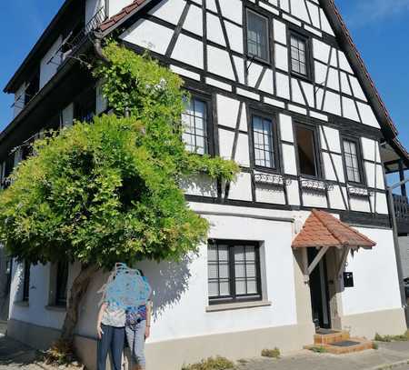 Wunderschönes Fachwerkhaus mit Garten und Balkon - Ingersheim