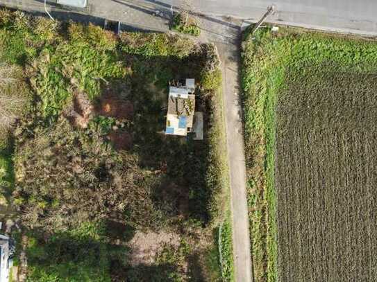 NIESEN IMMOBILIEN - Ländlich, aber stadtnah in Köln-Meschenich