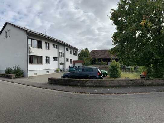 2 Großzügig geschnittene 3-Zimmer-Wohnungen in Berg (Pfalz)