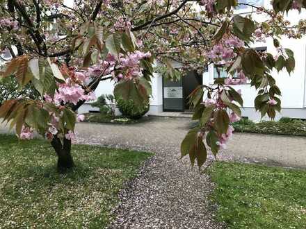 Großzügige 4-Zimmer-Wohnung mit schönem Blick im Westen