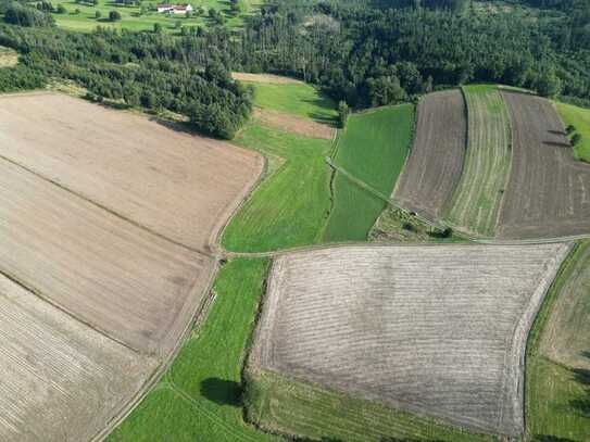 4,5 ha landw. Fläche/Acker in Uttlau mit sehr guter Bodenqualität