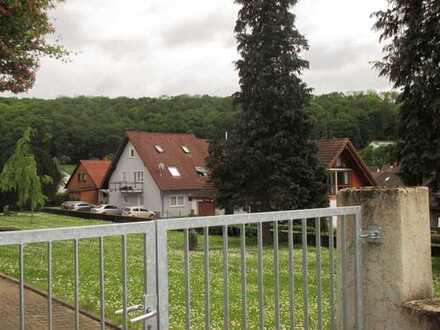 Bauplatz 646m², in Ortsrandlage für EFH/MFH/DH WO? In 74889 Sinsheim-Hoffenheim