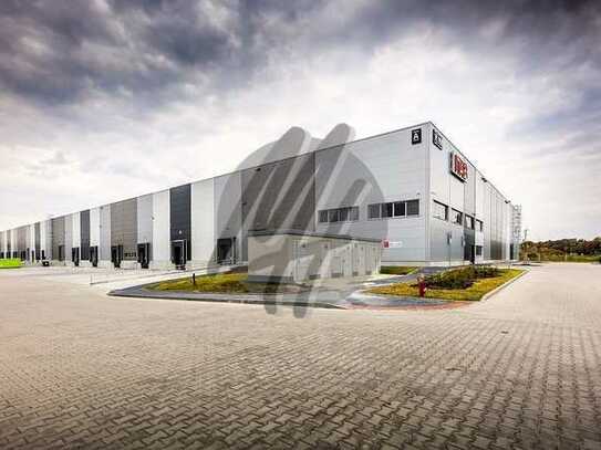 PROVISIONSFREI ✓ LAGER-/LOGISTIK-NEUBAU ✓ 30.000 m² / teilbar ✓ Rampe + eben ✓ 10 m Höhe ✓