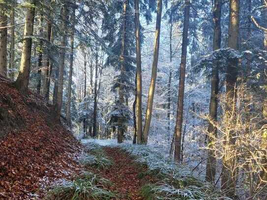 Waldgrundstücke in Irschenberg, Ortsteil Jedling