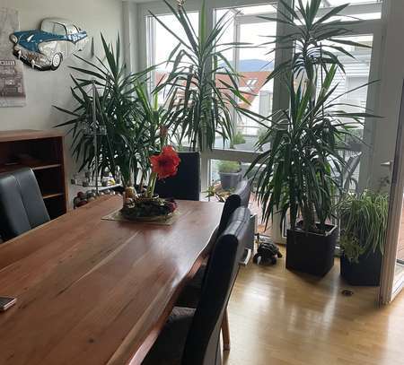 Helle 3 - Zimmer - Penthouse-Wohnung zu vermieten