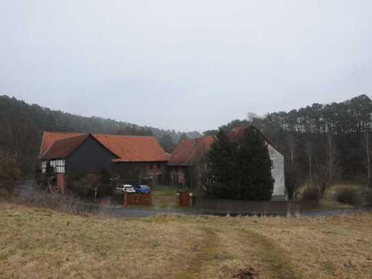 Arbeiten und wohnen im Dreiseitenhof mit großem Grundstück in Einzellage im Wartburgkreis