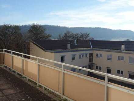 Traumaussicht in Wildberg! Renovierte 3-Zi-Whg mit großem und sonnigen Fernsichtbalkon, EBK, TG