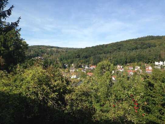 EFH in Bestlage mit wunderbarem Fernblick Hof-Lorsbach - 138 m² + Doppelgarage € 435.000,-