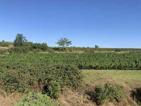 Direkt an den Weinbergen gelegenes Reihenendhaus mit großem Garten von privat