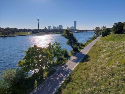 In 3 Minuten auf der Donauinsel !!!