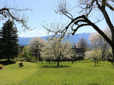 Idyllisches Grundstück in Obermillstatt - mit baubewilligter Planung für ein tolles Einfamilienhaus mit Pool