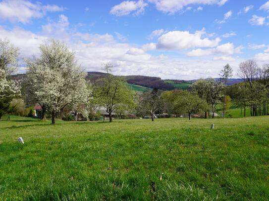 HAUS IN HERRLICHER RANDLAGE AN GRÜNLANDGRENZE MIT AUSSICHT