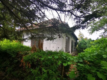 Naturparadies