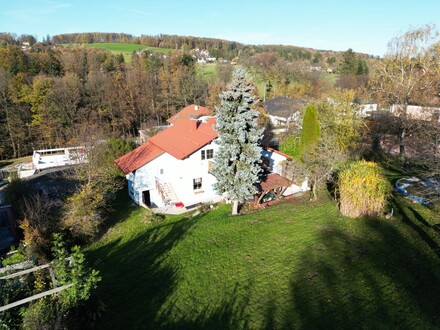 EINFAMILIENHAUS MIT GROSSEM GRUNDSTÜCK