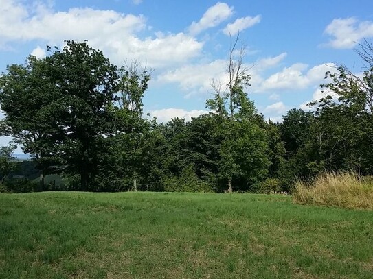 Grünland Tullnerfeld Aussichtslage