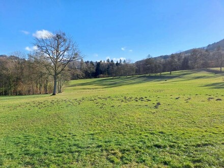 10 ha Wald- und Wiesenflächen