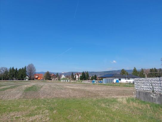 Großer, ebener Baugrund ohne Bauzwang in der Nibelungenstadt !